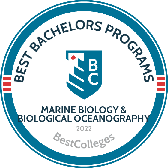 Best Marine Biology and Biological Oceanography Programs BestColleges